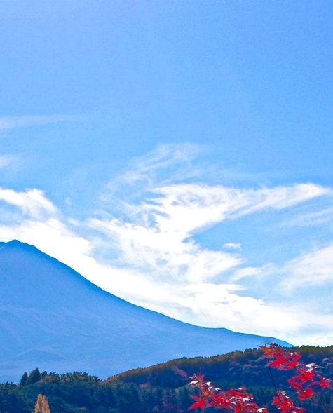 粉象生活创头条