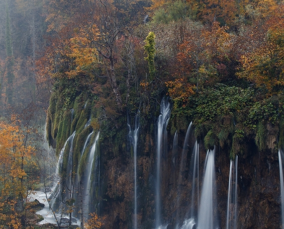 粉象生活怎么赚钱的