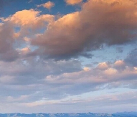 肇庆粉象生活赚钱