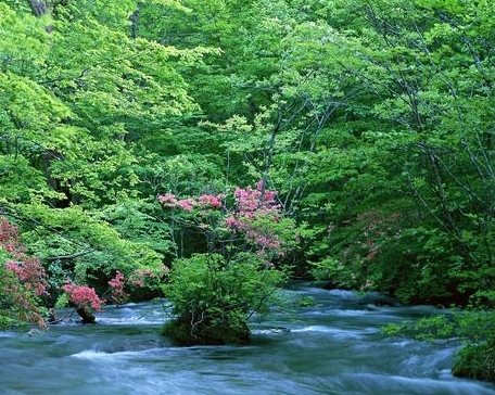 粉象生活如何修改号码