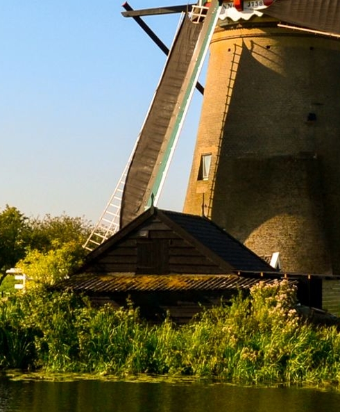 粉象生活是什么软件?能赚钱吗