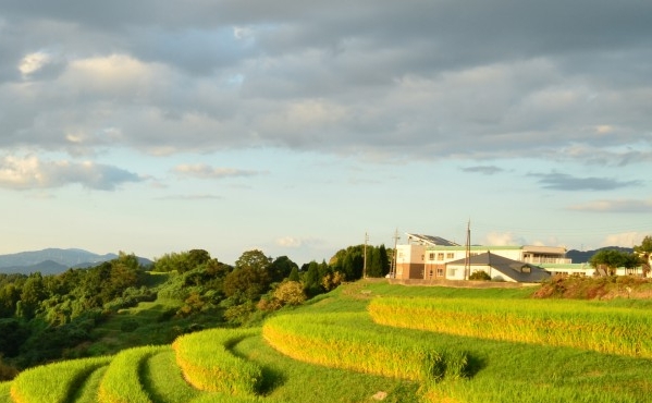 生活中的闭环系统