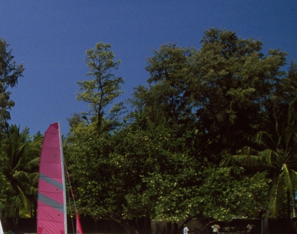 粉象生活有什么赚钱的