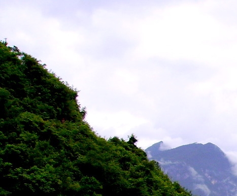 粉象生活邀请码