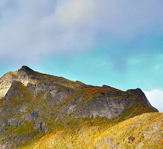 淘宝生活号怎么找