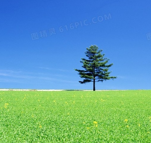 粉象生活招商版粉象生活