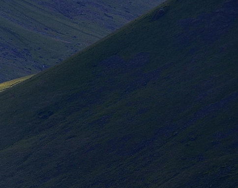 粉象生活邀请码填谁的,谁就可以赚钱吗