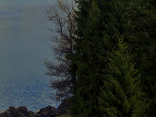 粉象生活新手怎么做