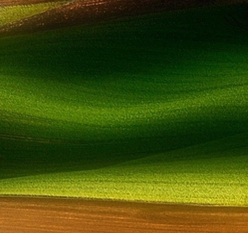 粉象生活下载并安装