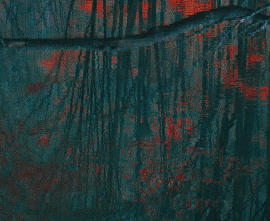 粉象生活怎么返现的