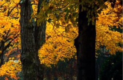 粉象有多少粉丝才能赚钱