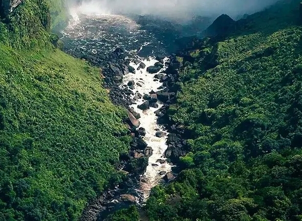 粉象生活推广有什么用