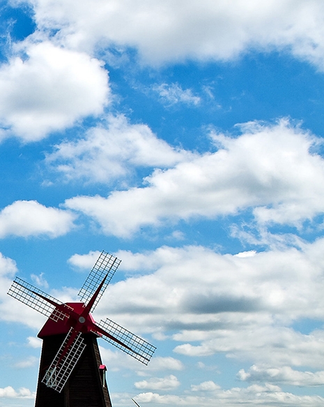 粉象生活直播赚钱