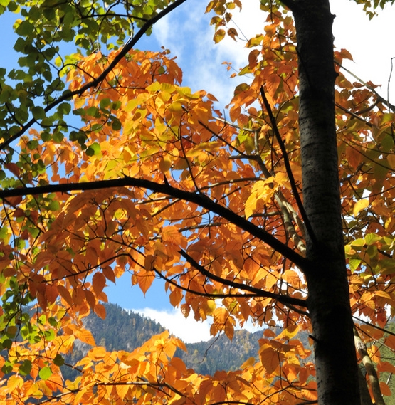 粉象生活怎么用美团