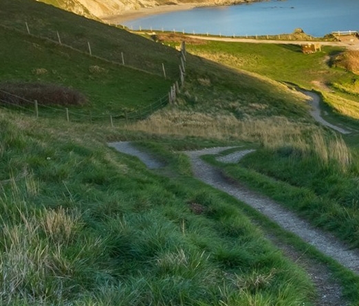 粉象生活怎么获奖