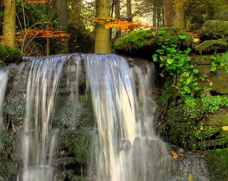 粉象生活靠什么盈利