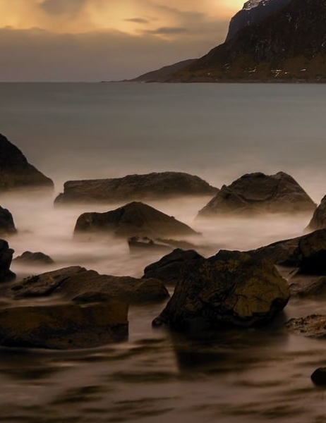 粉象生活招商引流