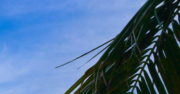 三年的口罩生活