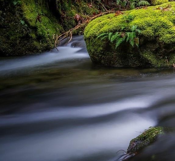 粉象生活解除邀请人