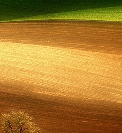 粉象生活可以赚钱吗