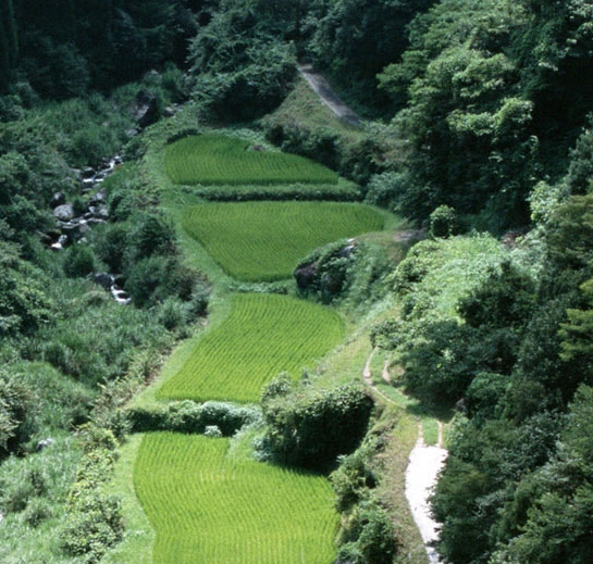 粉象生活商家怎么赚钱