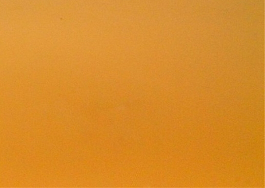 粉象生活怎么邀请不了人