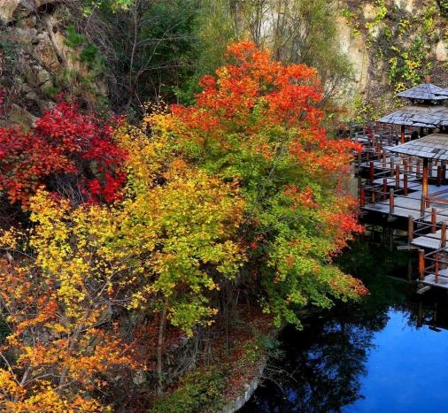 惠普生活空气炸锅怎么样