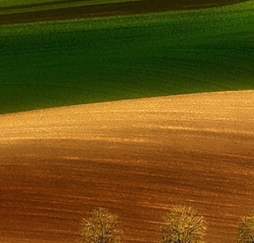 粉象生活怎么打广告