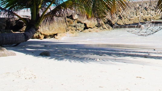 枣庄粉象生活收入