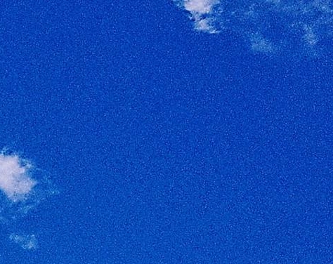 粉象生活的性质