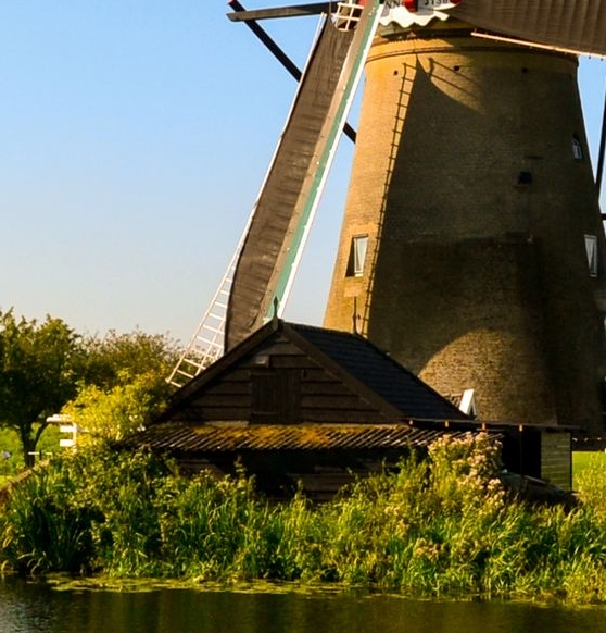 江苏一站式粉象生活是什么