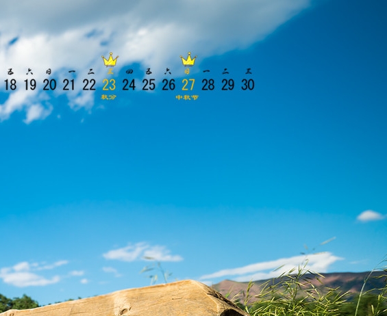 日入1000赚钱方法