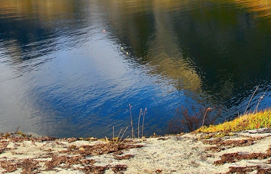 新手粉象生活怎么赚钱