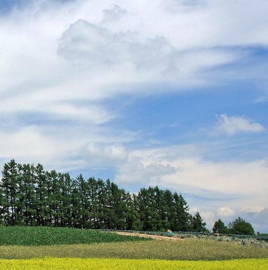 粉象生活新手怎么做