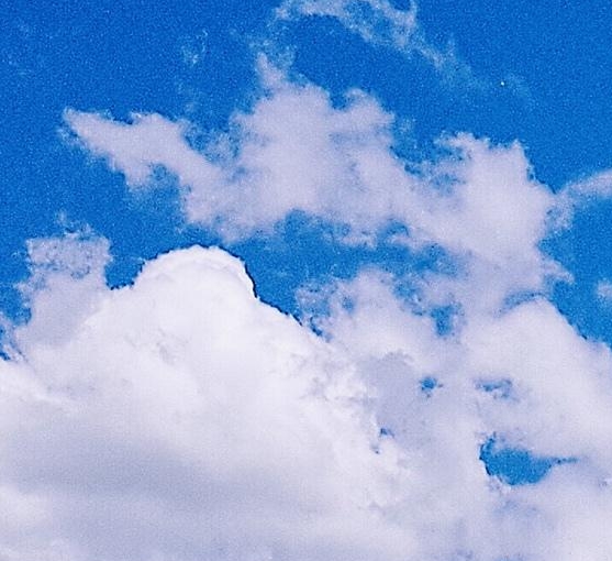 粉象生活的图片怎么上传