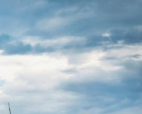 下载粉象app下载