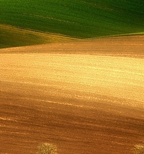 粉象生活如何免费获得皮肤