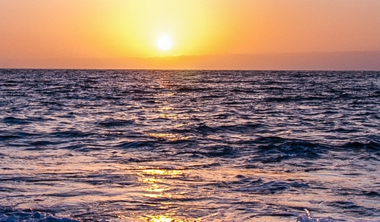 粉象生活赚钱教程