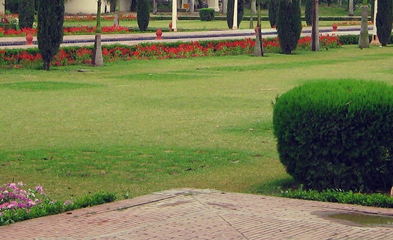 粉象生活怎么用