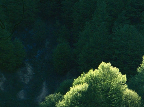 粉象生活到底能不能做