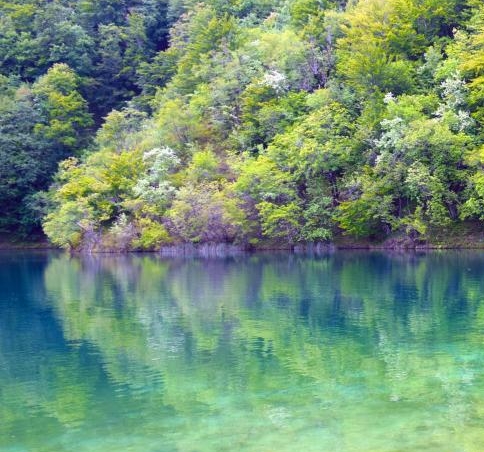 粉象生活在哪看我的邀请人
