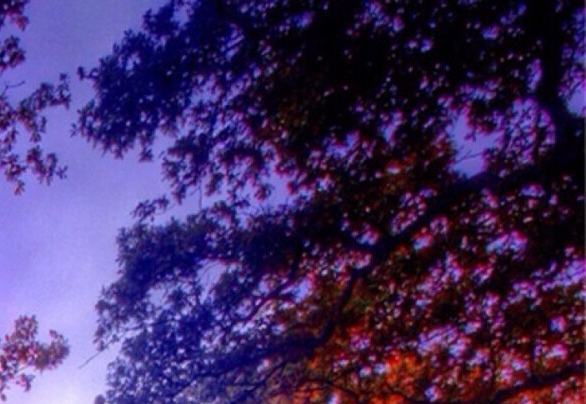 西双版纳店铺装修选择九象