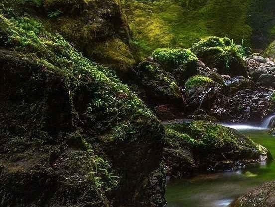 口罩的其他生活用途