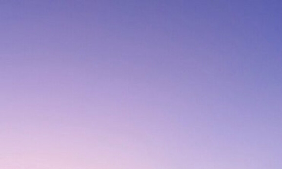 上海高端粉象生活赚钱么