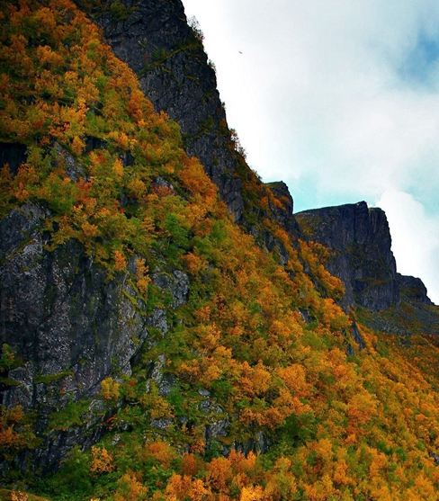 粉象生活能挣钱吗