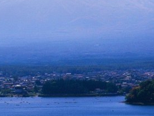 粉象生活是真的吗?真的能赚到钱吗