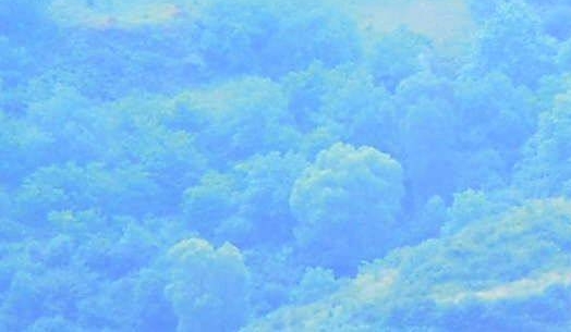 鑫团生活购物平台