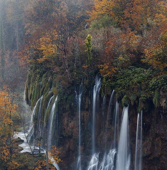 粉象生活赚钱教程