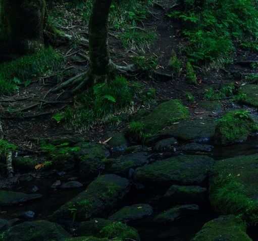 粉象生活和淘宝联盟哪个好