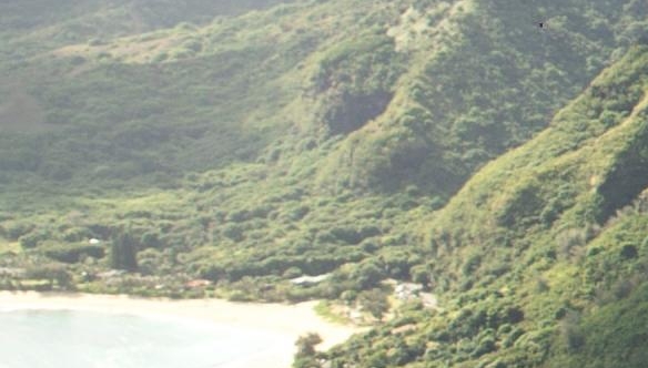 河北象大合众产品